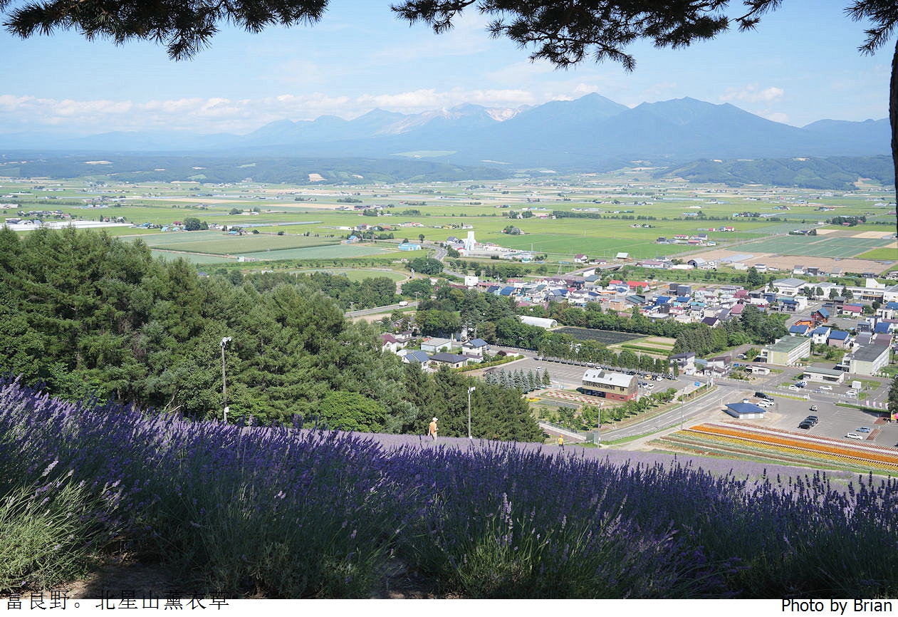 北海道中富良野北星山薰衣草園。搭纜車登高欣賞薰衣草花海搭配十勝連峰 北海道中富良野北星山薰衣草園。搭纜車登高欣賞薰衣草花海搭配十勝連峰