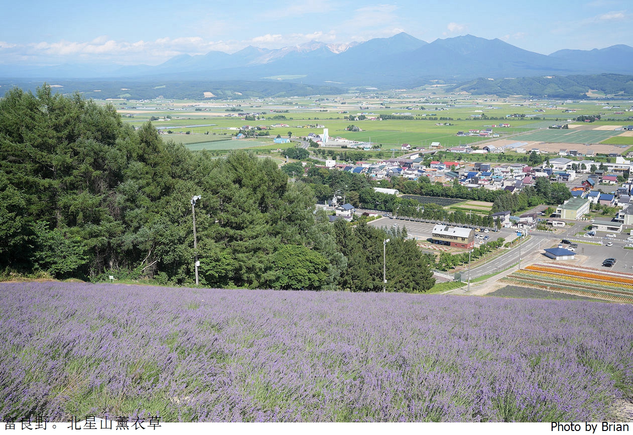 北海道中富良野北星山薰衣草園。搭纜車登高欣賞薰衣草花海搭配十勝連峰 北海道中富良野北星山薰衣草園。搭纜車登高欣賞薰衣草花海搭配十勝連峰