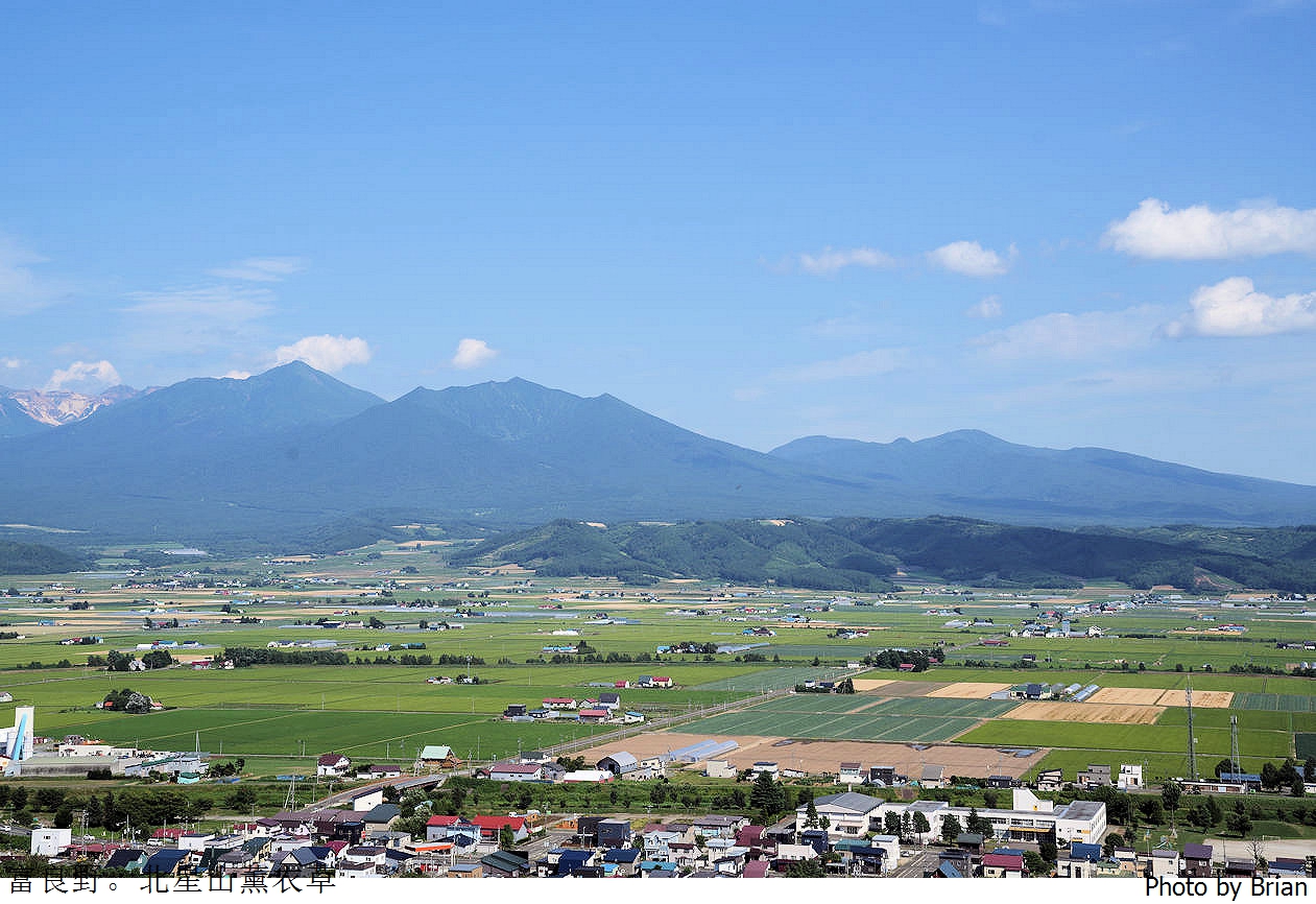 北海道中富良野北星山薰衣草園。搭纜車登高欣賞薰衣草花海搭配十勝連峰