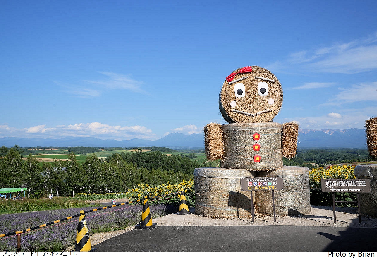 北海道美瑛四季彩之丘。美瑛必訪景點彩虹花田 北海道美瑛四季彩之丘。美瑛必訪景點彩虹花田