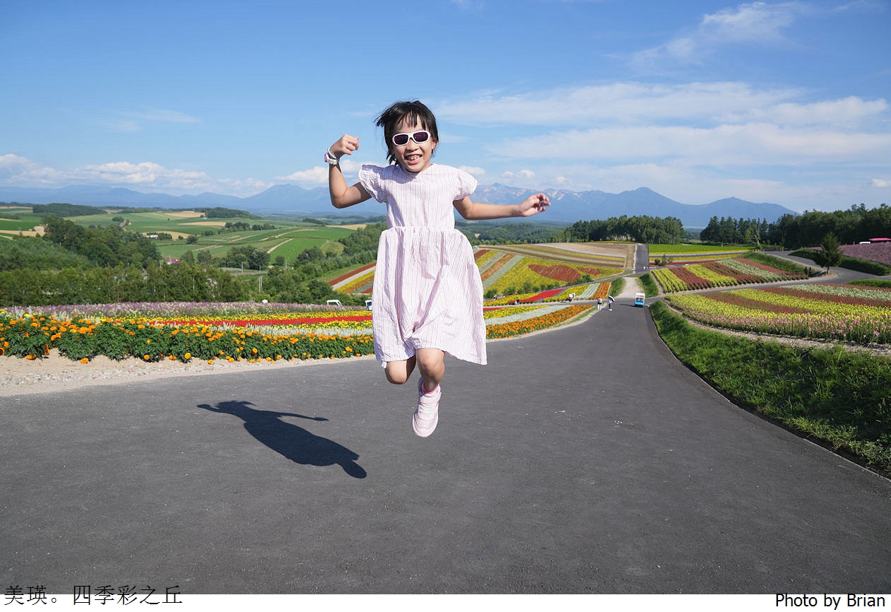 北海道美瑛四季彩之丘。美瑛必訪景點彩虹花田 北海道美瑛四季彩之丘。美瑛必訪景點彩虹花田