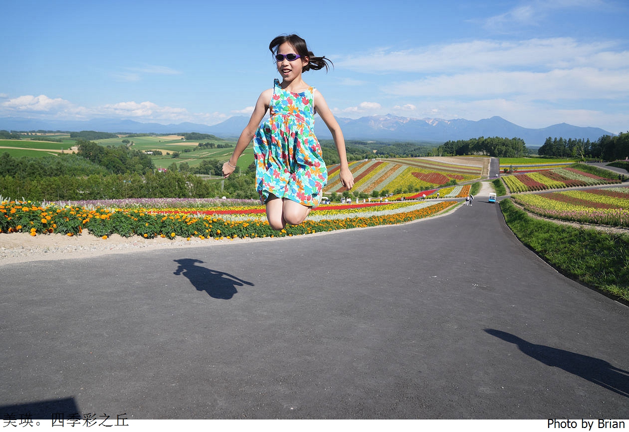 北海道美瑛四季彩之丘。美瑛必訪景點彩虹花田 北海道美瑛四季彩之丘。美瑛必訪景點彩虹花田