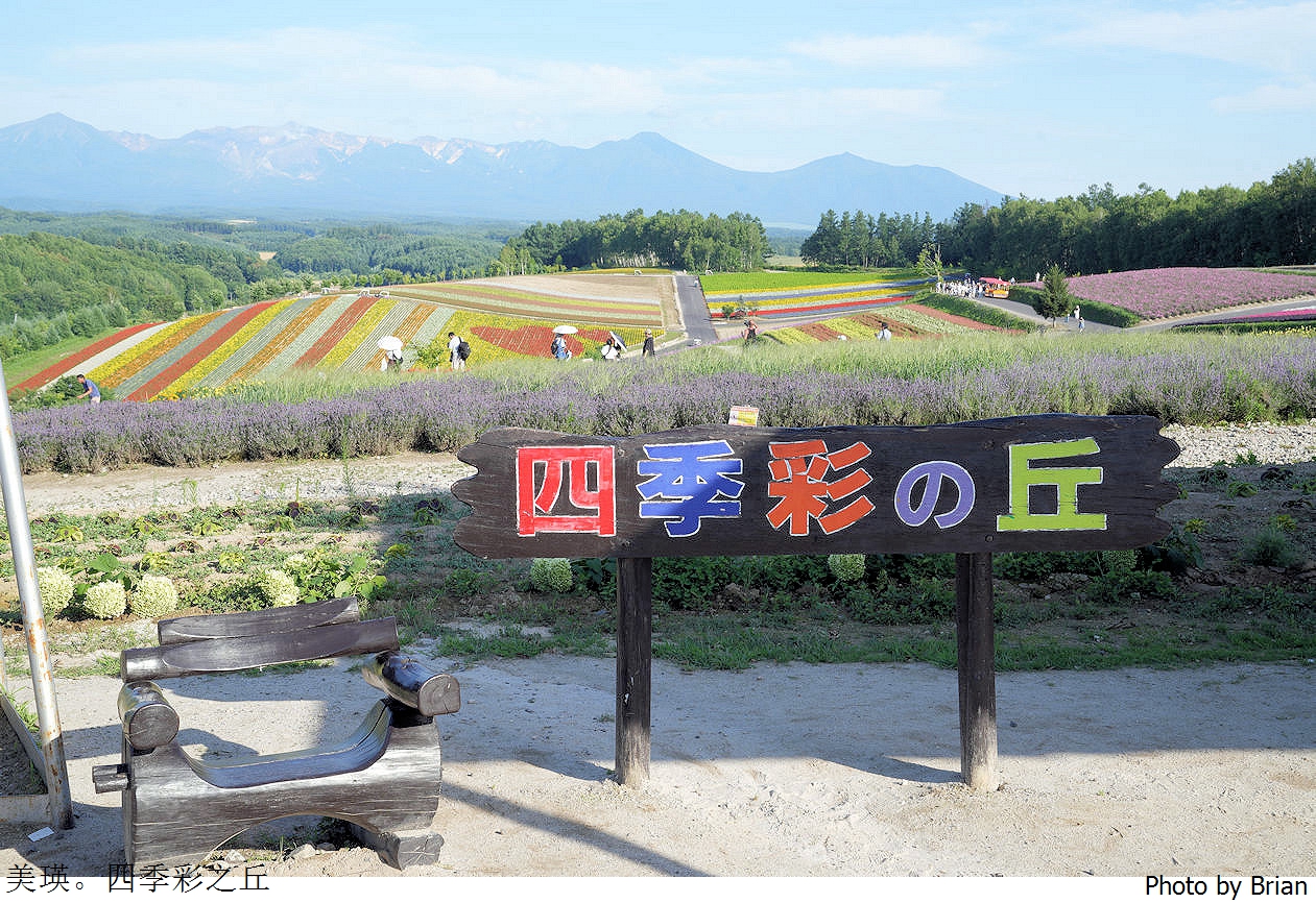 北海道美瑛四季彩之丘。美瑛必訪景點彩虹花田 北海道美瑛四季彩之丘。美瑛必訪景點彩虹花田
