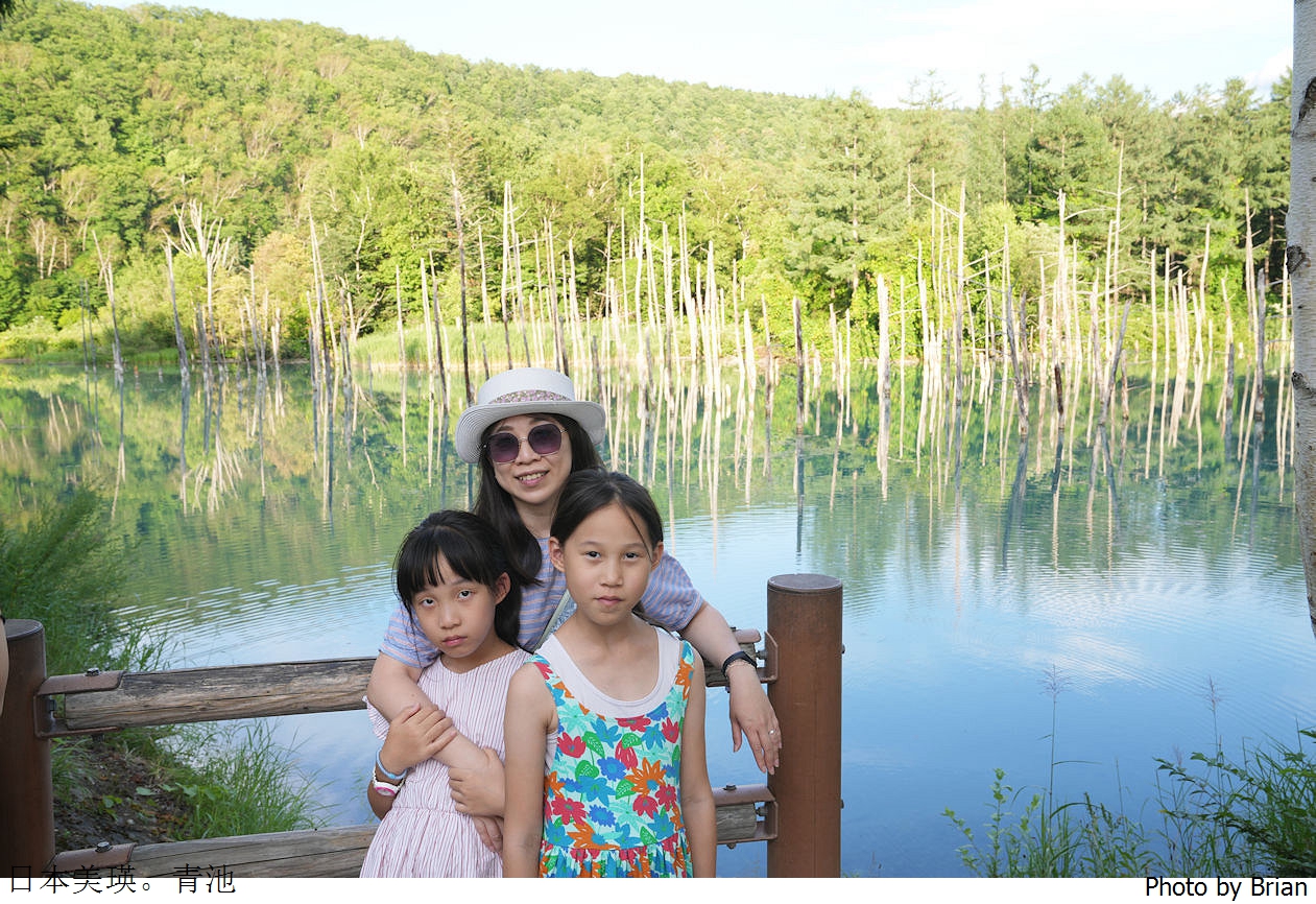 北海道美瑛白金青池。北海道必訪景點順遊白鬚瀑布