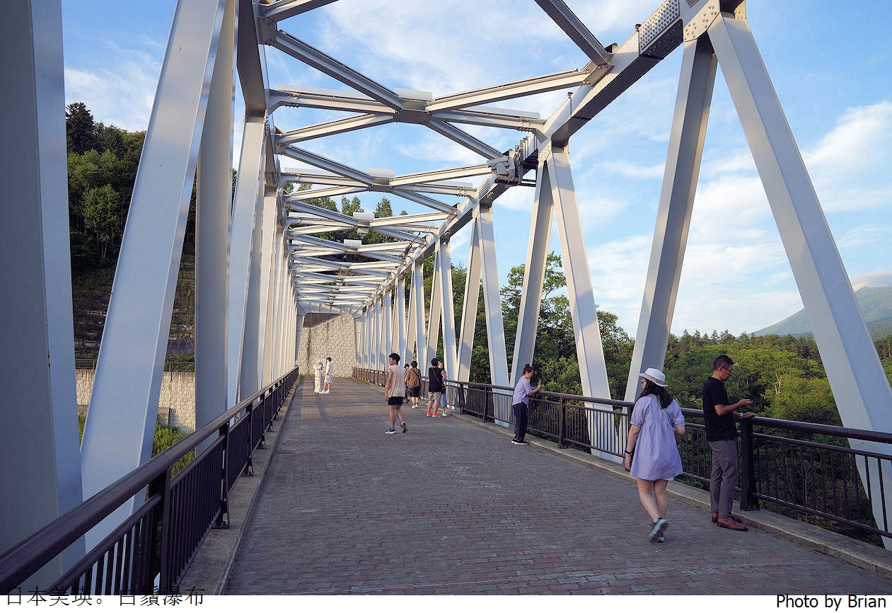 北海道美瑛白金青池。北海道必訪景點順遊白鬚瀑布