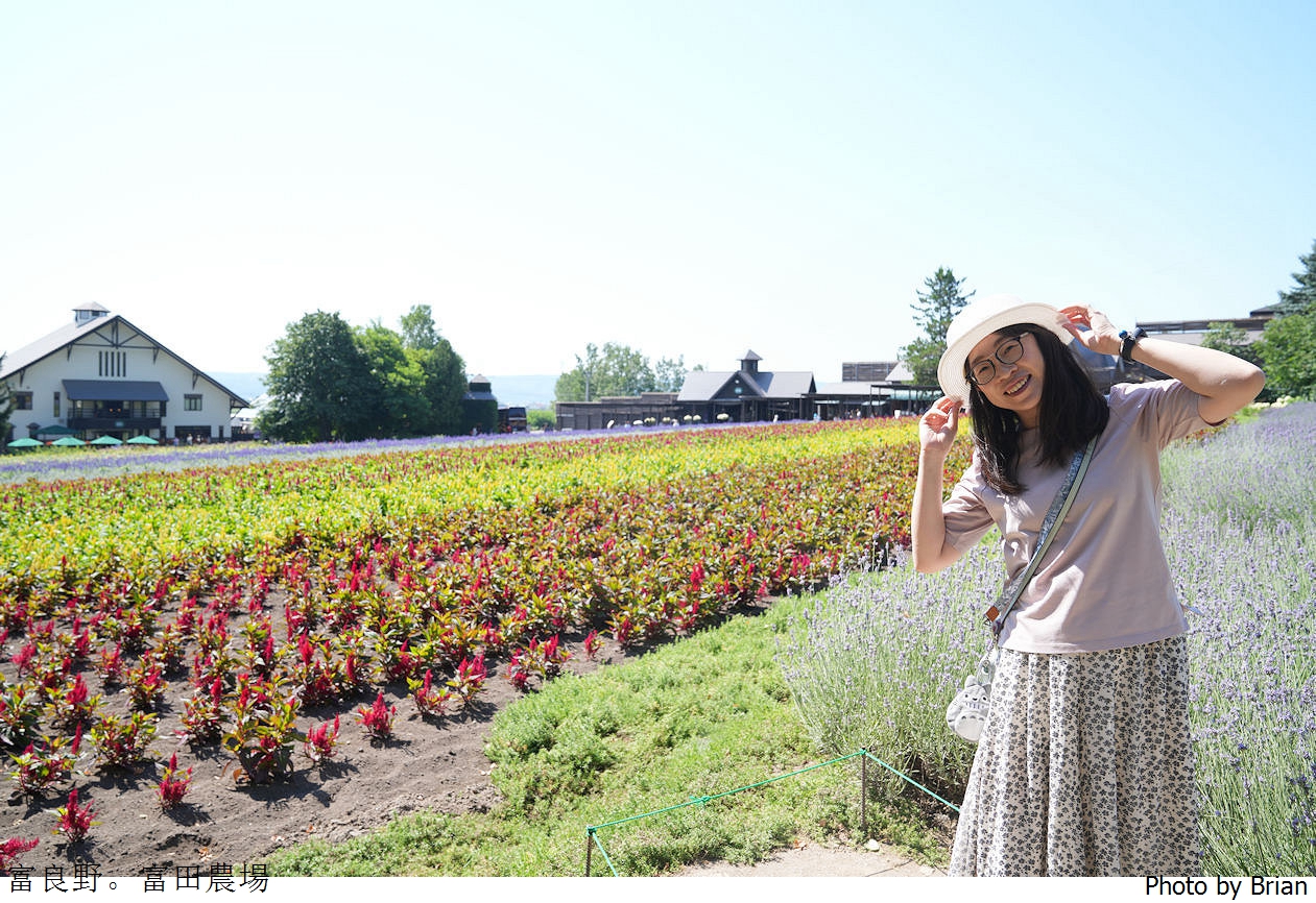 北海道景點富良野富田農場。北海道超人氣薰衣草花田