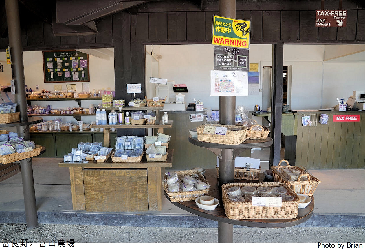 北海道景點富良野富田農場。北海道超人氣薰衣草花田