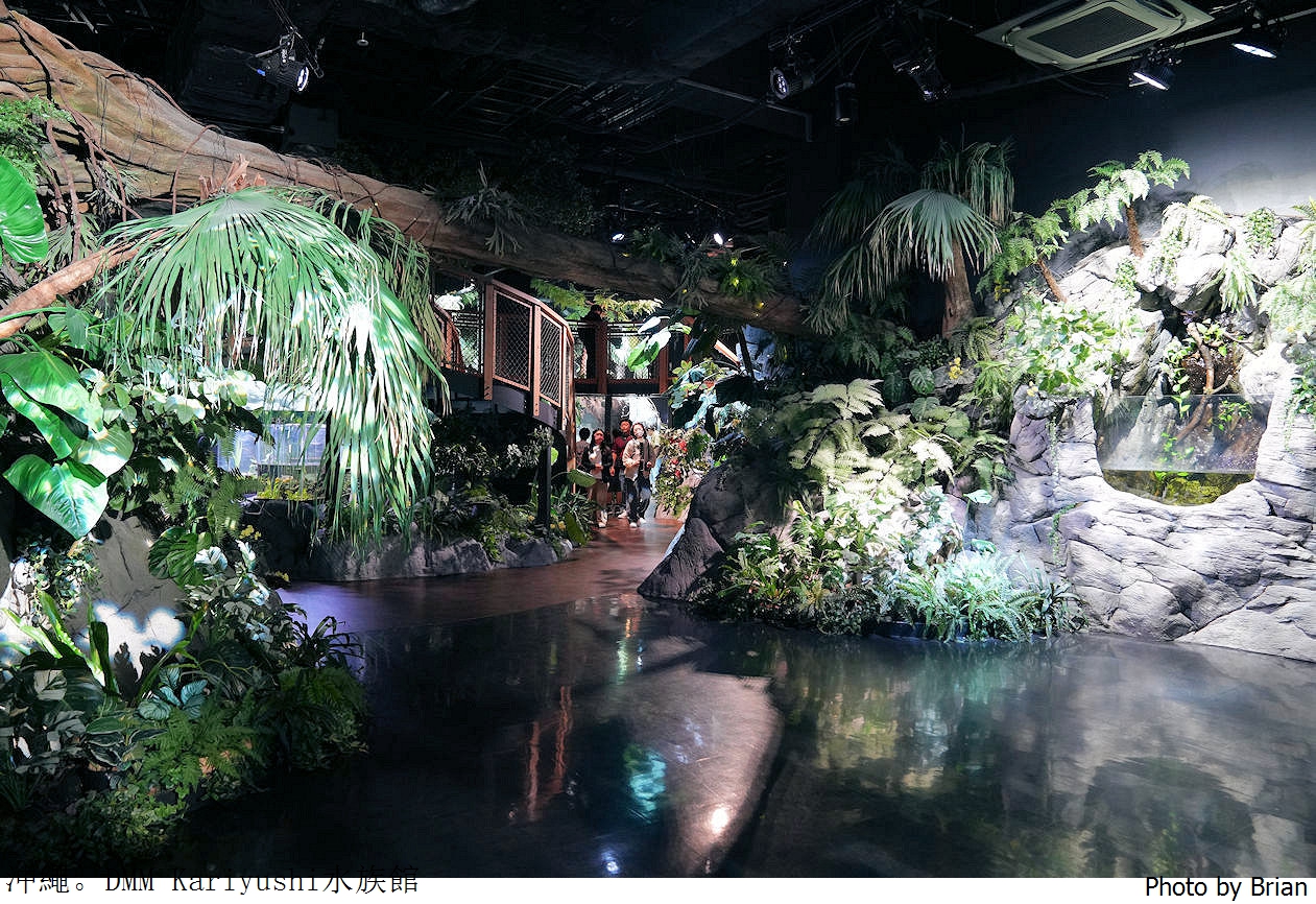 日本沖繩 DMM Kariyushi水族館。那霸南部機場附近都會型水族館