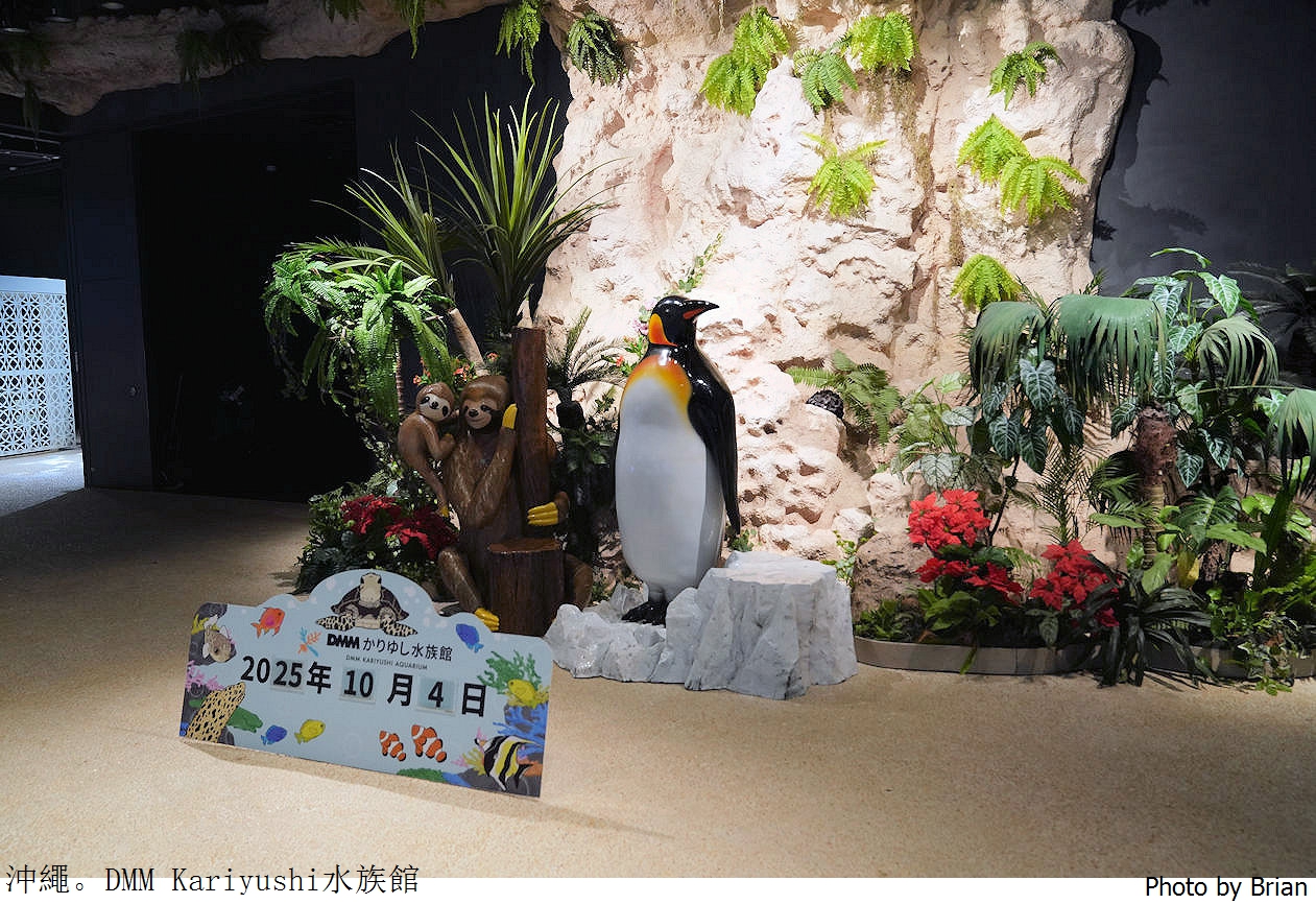 日本沖繩 DMM Kariyushi水族館。那霸南部機場附近都會型水族館