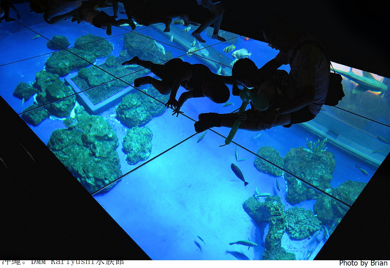 日本沖繩 DMM Kariyushi水族館。那霸南部機場附近都會型水族館