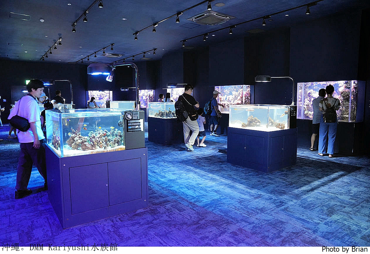日本沖繩 DMM Kariyushi水族館。那霸南部機場附近都會型水族館