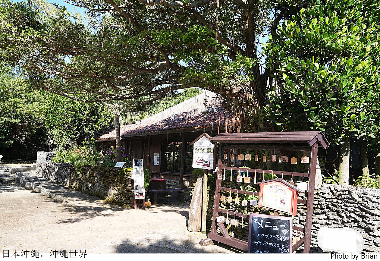 日本沖繩世界文化王國。日本第二大鐘乳石洞門票參觀資訊