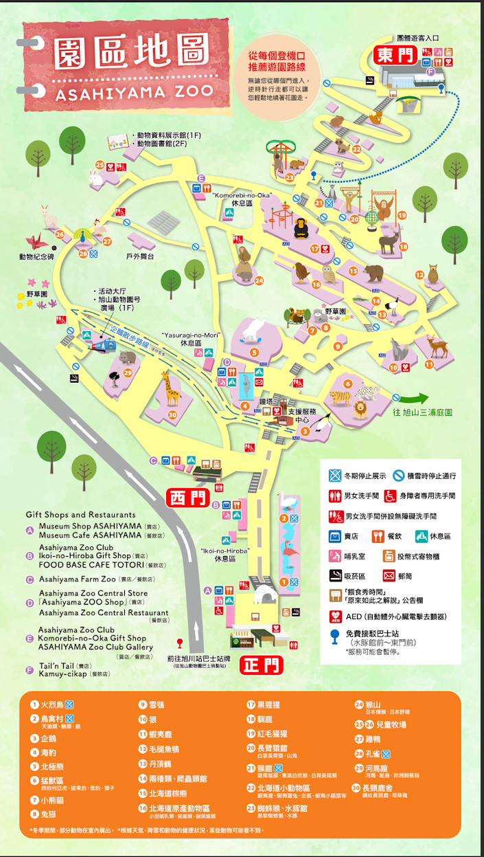 北海道旭川旭山動物園。超近距離看北極熊企鵝親子必訪景點