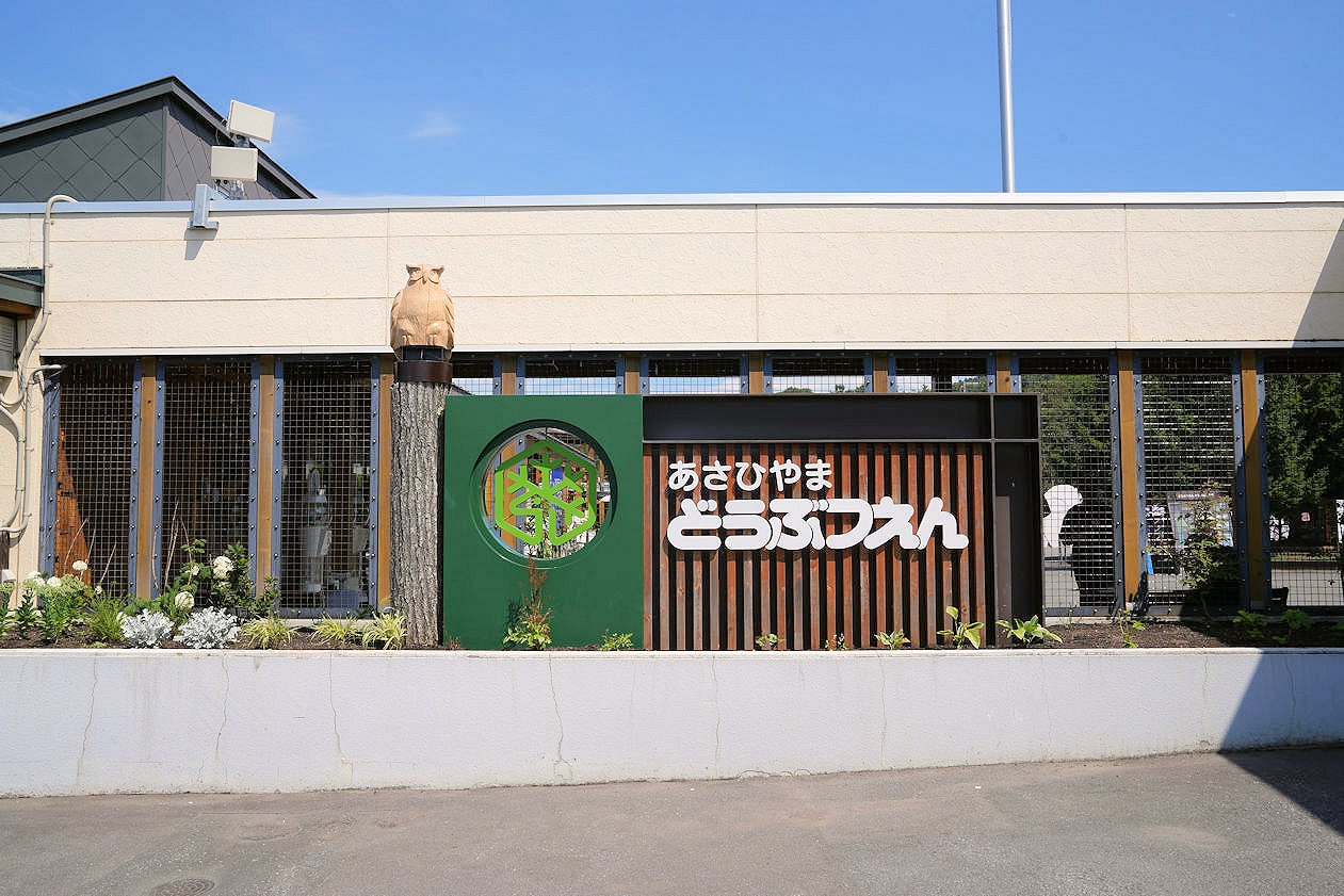 北海道旭川旭山動物園。超近距離看北極熊企鵝親子必訪景點