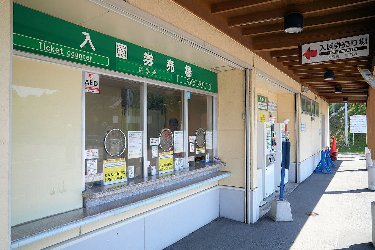 北海道旭川旭山動物園。超近距離看北極熊企鵝親子必訪景點 北海道旭川旭山動物園。超近距離看北極熊企鵝親子必訪景點