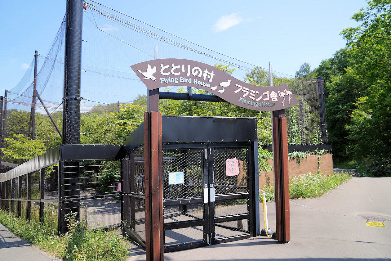 北海道旭川旭山動物園。超近距離看北極熊企鵝親子必訪景點 北海道旭川旭山動物園。超近距離看北極熊企鵝親子必訪景點