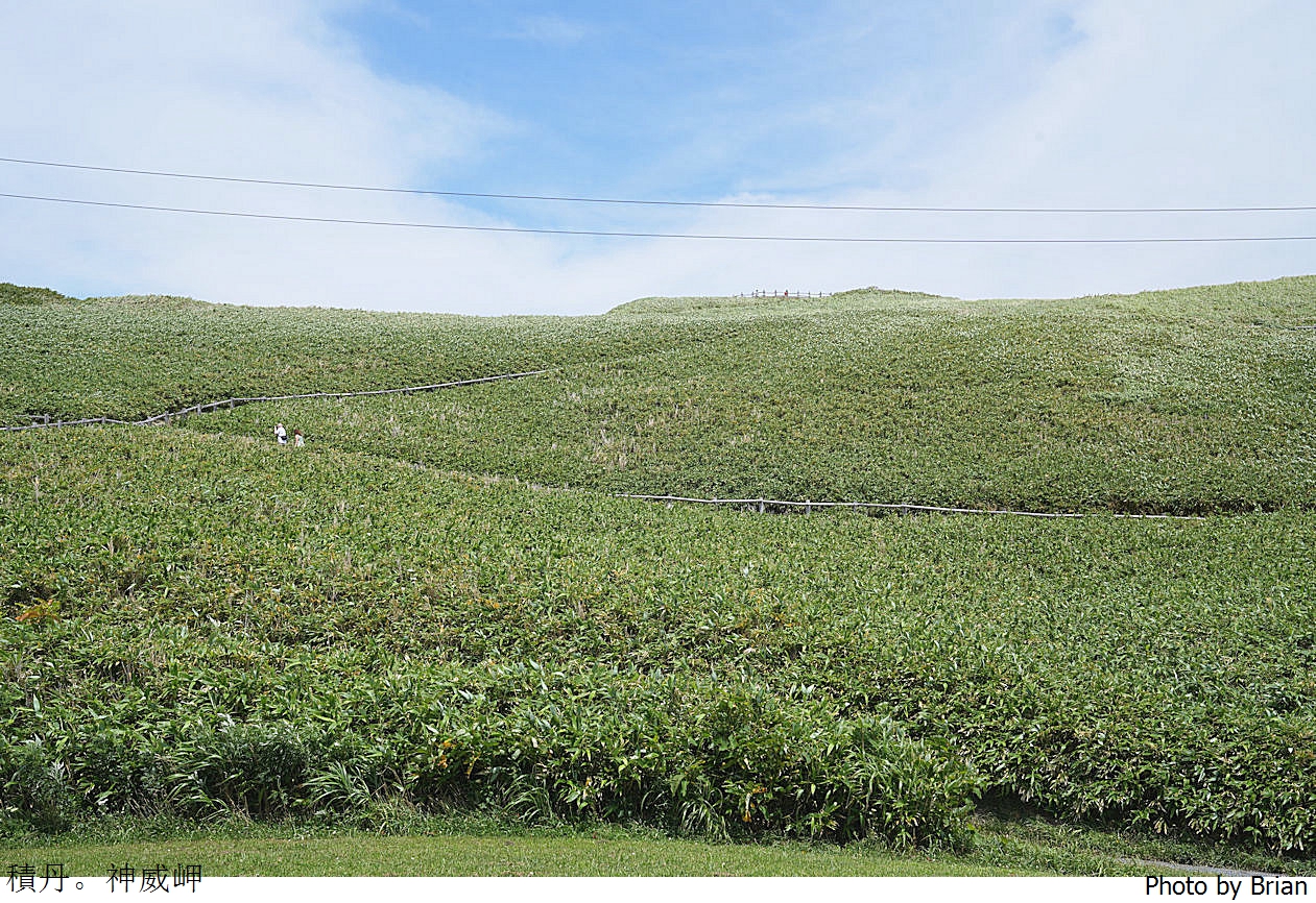 北海道積丹半島神威岬。360度無限海景北海道必訪積丹藍