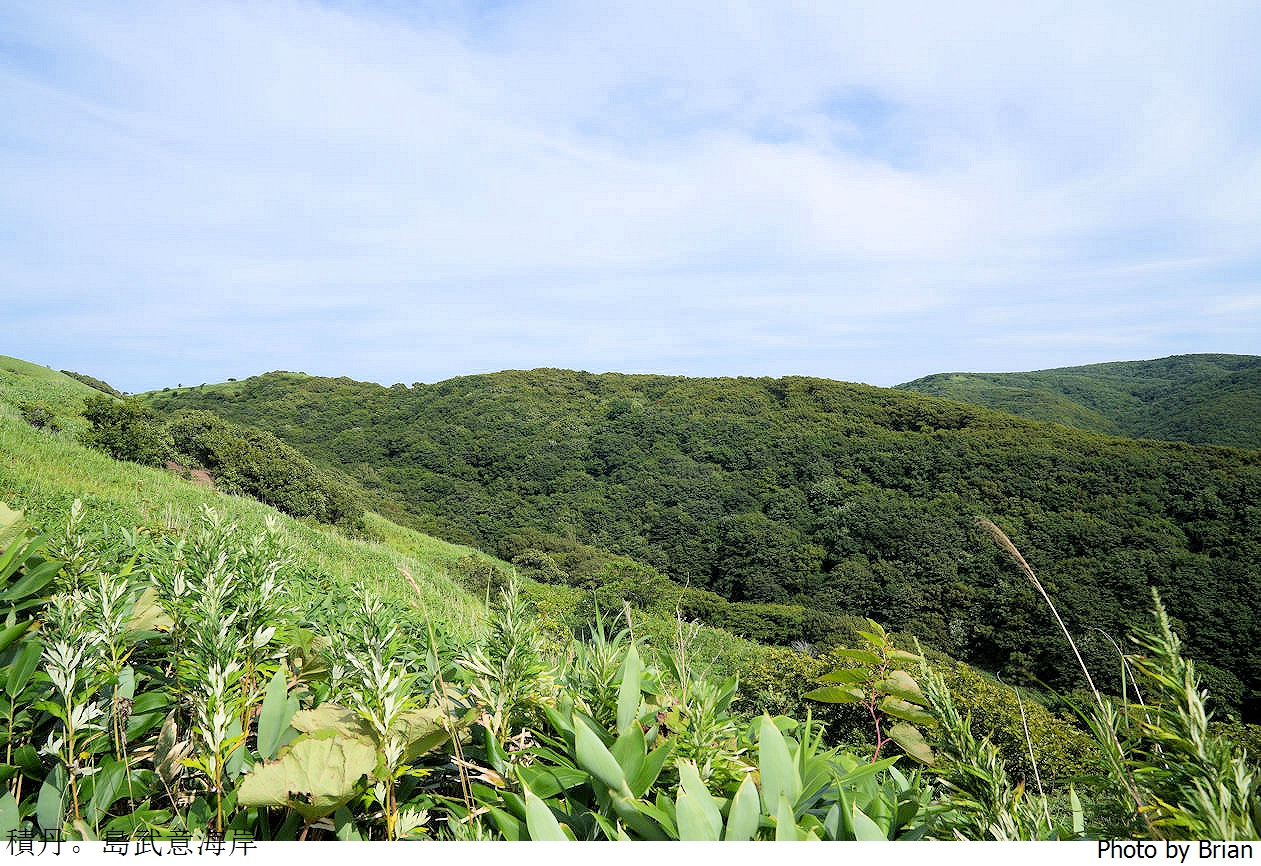 北海道積丹半島島武意海岸展望台。美麗海岸北海道必訪積丹藍