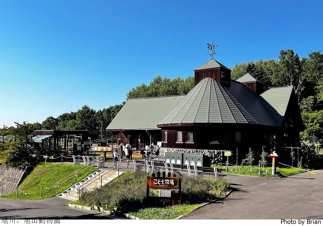 北海道旭川旭山動物園。超近距離看北極熊企鵝親子必訪景點