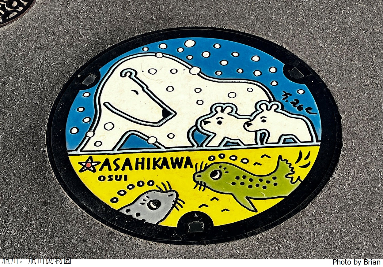 北海道旭川旭山動物園。超近距離看北極熊企鵝親子必訪景點 北海道旭川旭山動物園。超近距離看北極熊企鵝親子必訪景點