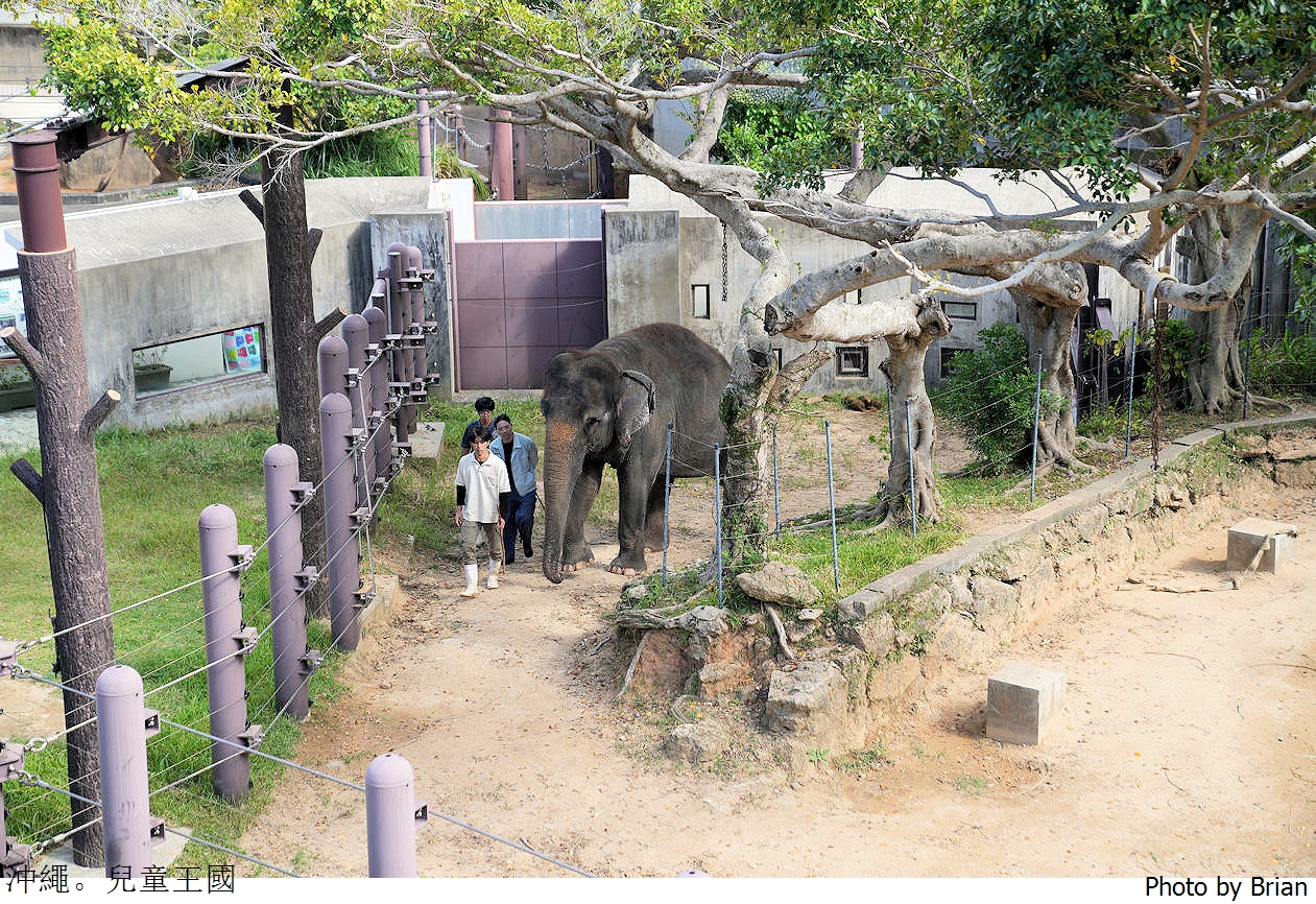 日本沖繩必訪親子景點沖繩兒童王國。超佛心15歲以下免費入園