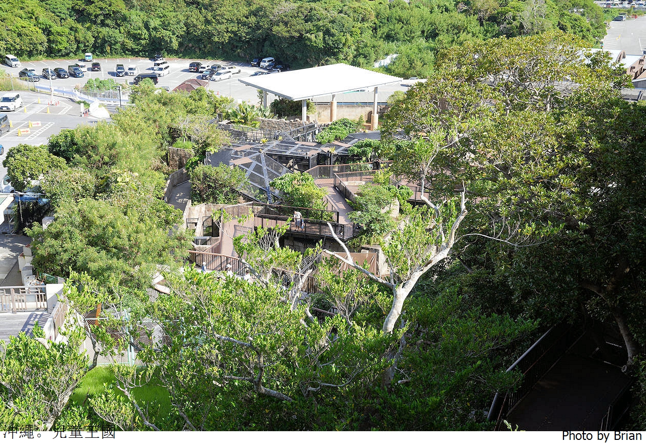日本沖繩必訪親子景點沖繩兒童王國。超佛心15歲以下免費入園