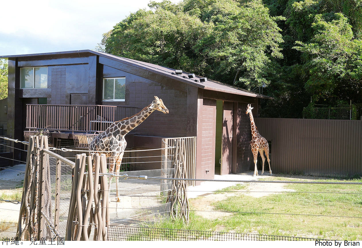 日本沖繩必訪親子景點沖繩兒童王國。超佛心15歲以下免費入園