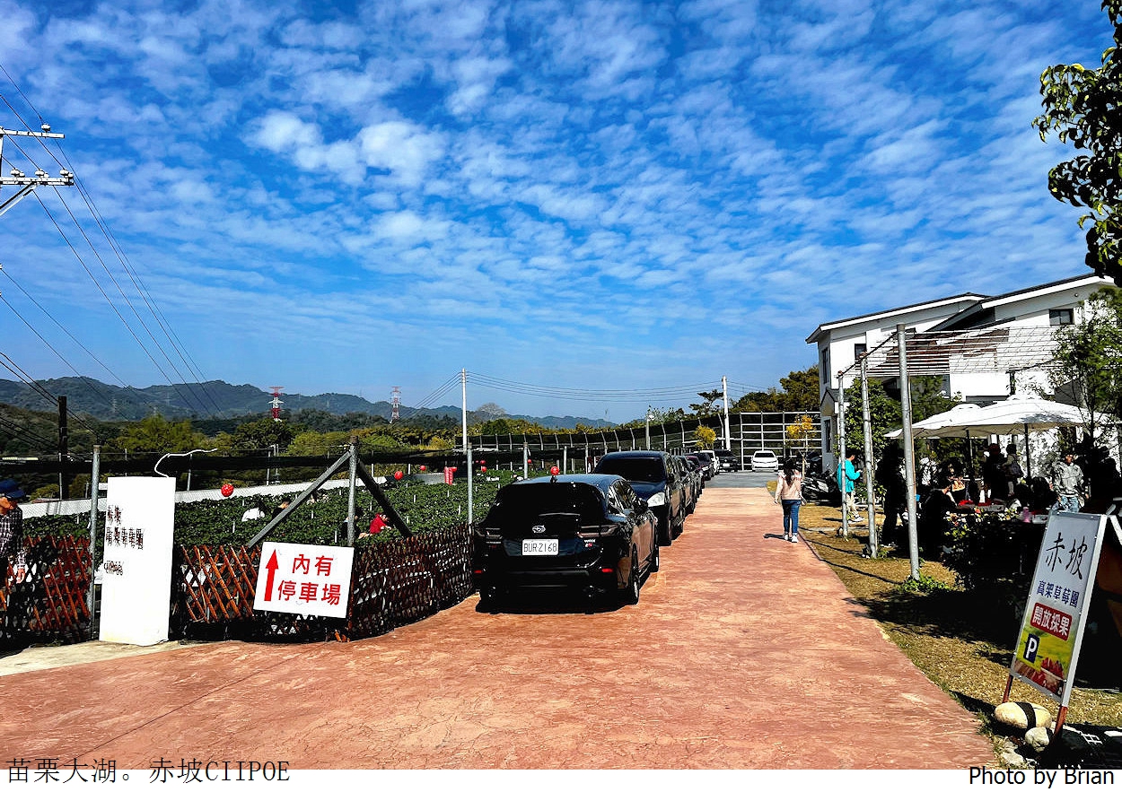 苗栗大湖赤坡草莓X咖啡店。現採大湖草莓還有好吃草莓蛋糕甜點 苗栗大湖赤坡草莓X咖啡店。現採大湖草莓還有好吃草莓蛋糕甜點