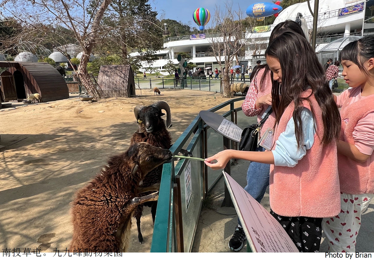 南投草屯親子景點九九峰動物樂園。全亞洲最大鳥類動物園近距離互動超好玩