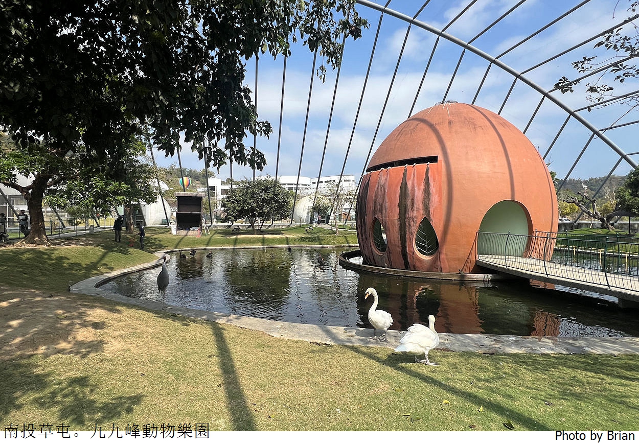 南投草屯親子景點九九峰動物樂園。全亞洲最大鳥類動物園近距離互動超好玩
