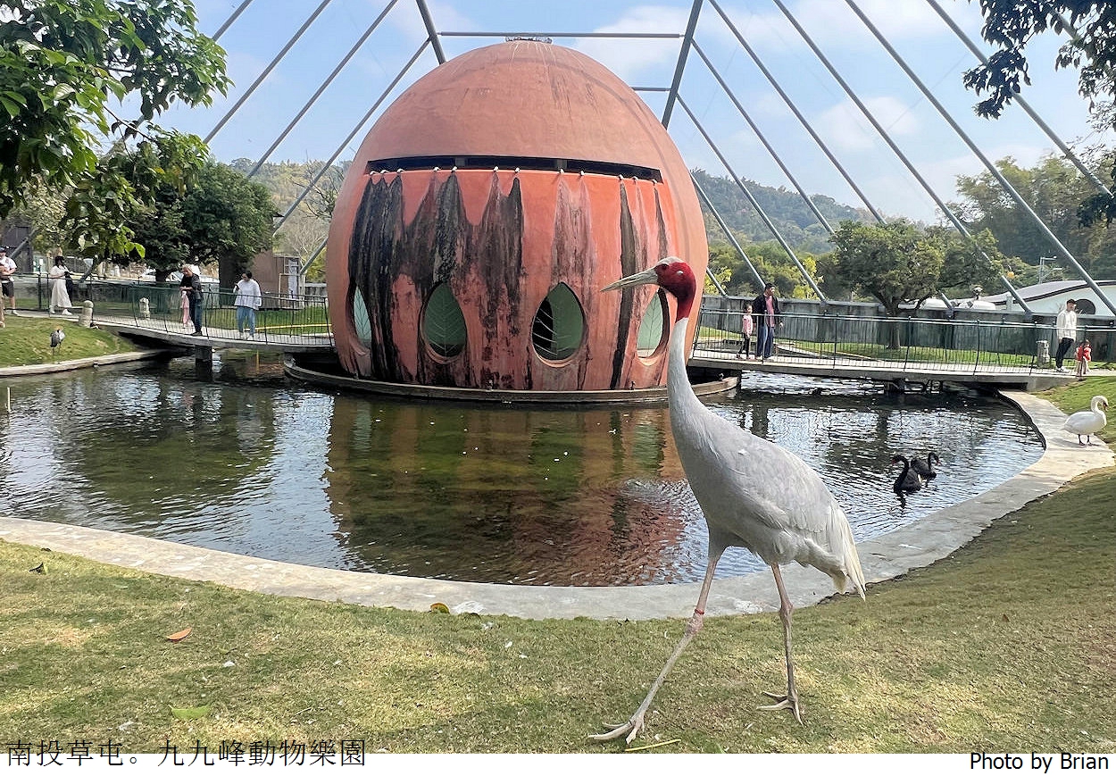 南投草屯親子景點九九峰動物樂園。全亞洲最大鳥類動物園近距離互動超好玩