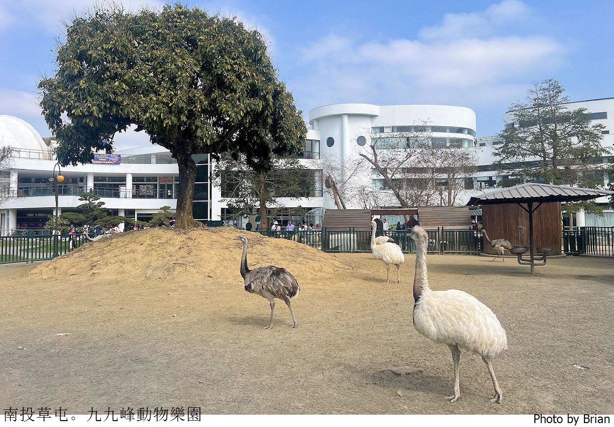 南投草屯親子景點九九峰動物樂園。全亞洲最大鳥類動物園近距離互動超好玩