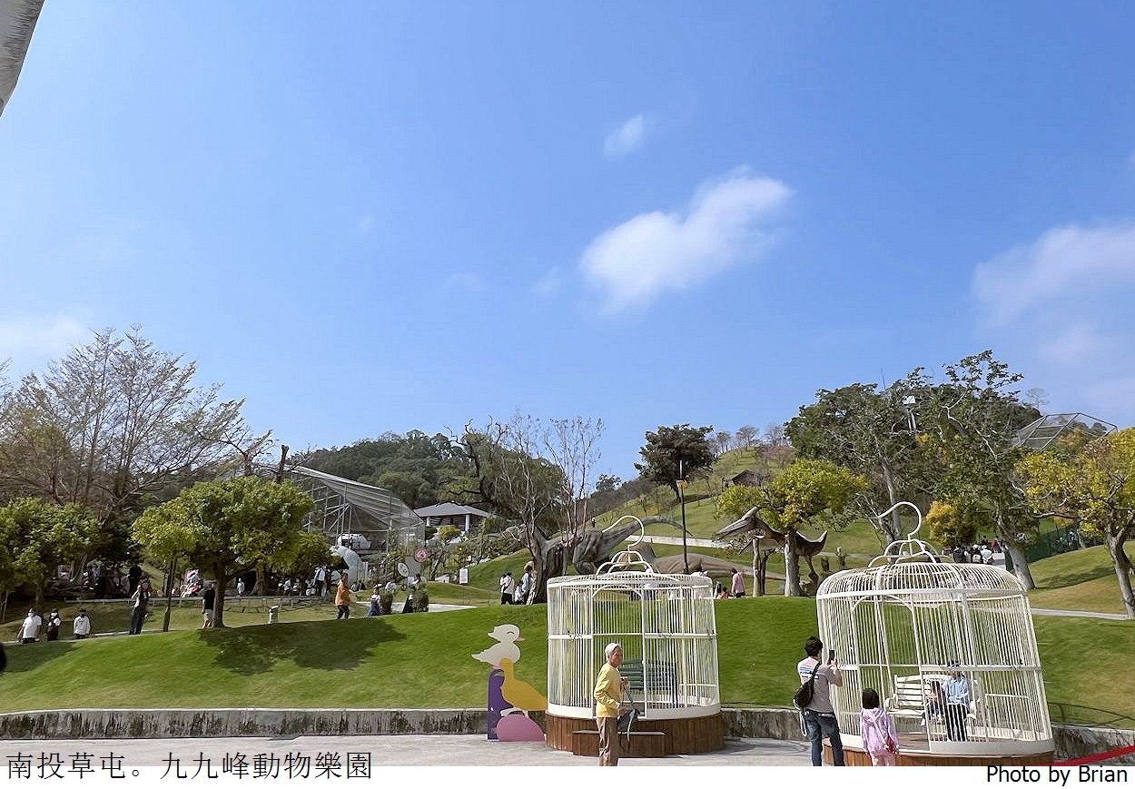 南投草屯親子景點九九峰動物樂園。全亞洲最大鳥類動物園近距離互動超好玩