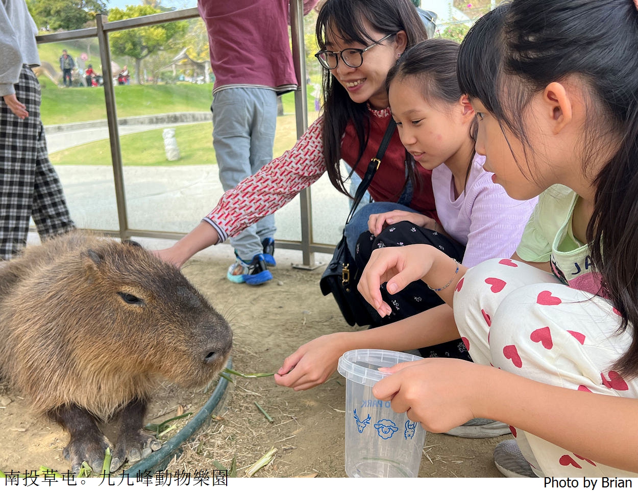 南投草屯親子景點九九峰動物樂園。全亞洲最大鳥類動物園近距離互動超好玩