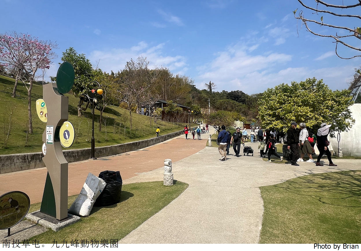 南投草屯親子景點九九峰動物樂園。全亞洲最大鳥類動物園近距離互動超好玩