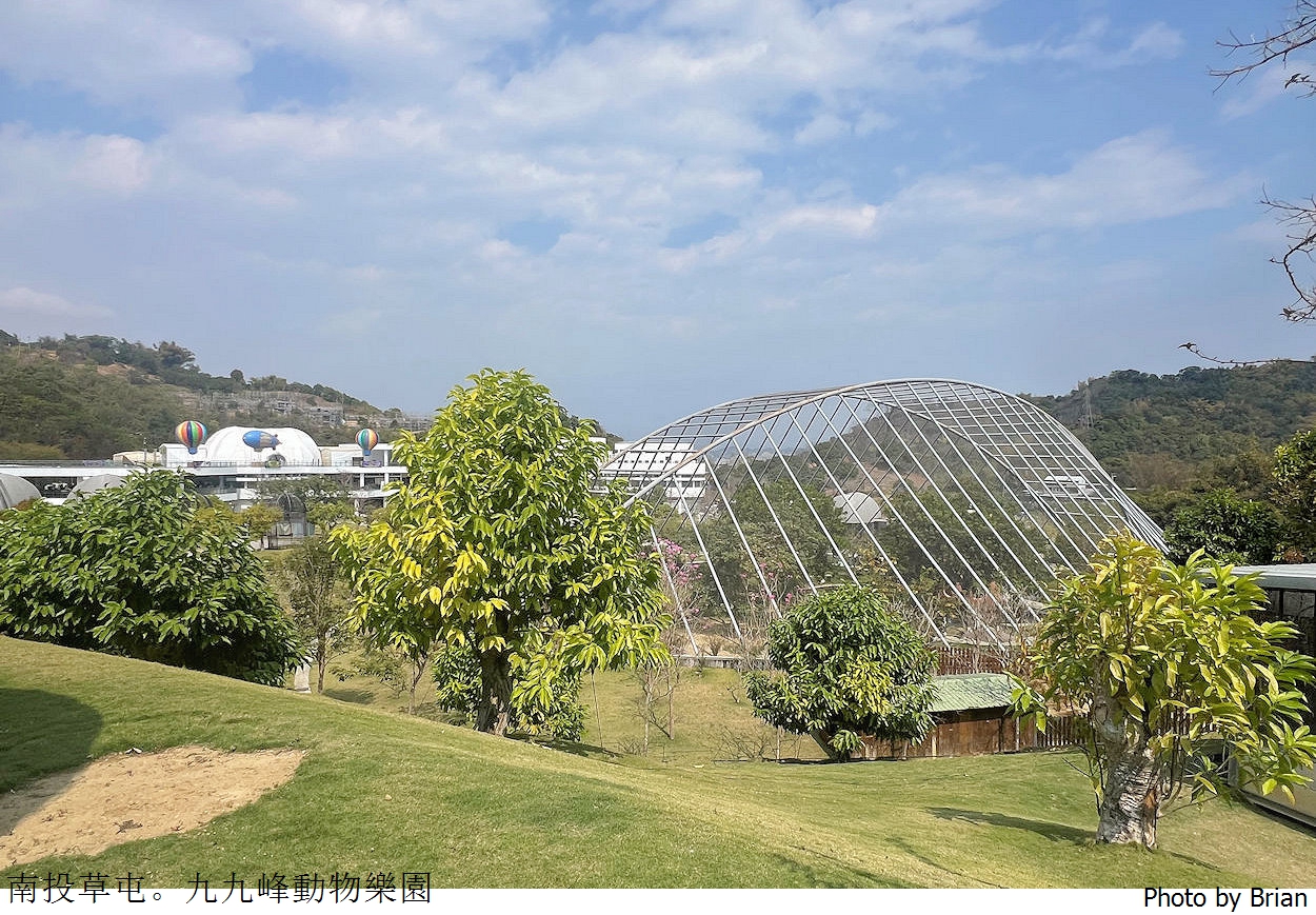 南投草屯親子景點九九峰動物樂園。全亞洲最大鳥類動物園近距離互動超好玩