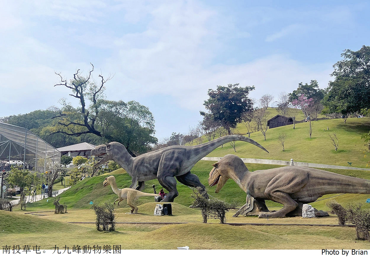 南投草屯親子景點九九峰動物樂園。全亞洲最大鳥類動物園近距離互動超好玩