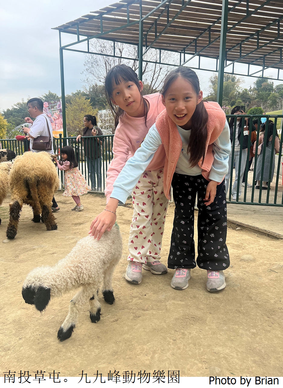 南投草屯親子景點九九峰動物樂園。全亞洲最大鳥類動物園近距離互動超好玩