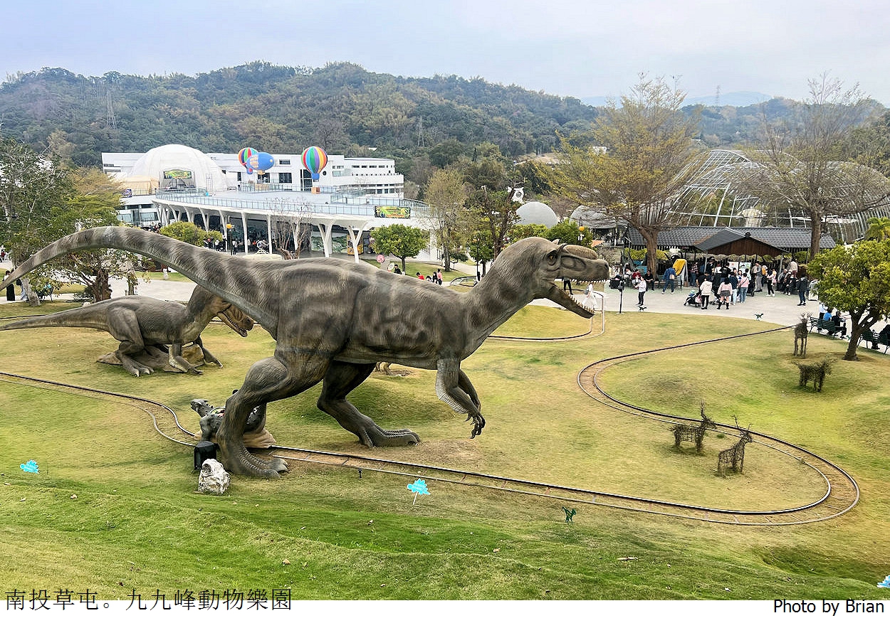 南投草屯親子景點九九峰動物樂園。全亞洲最大鳥類動物園近距離互動超好玩
