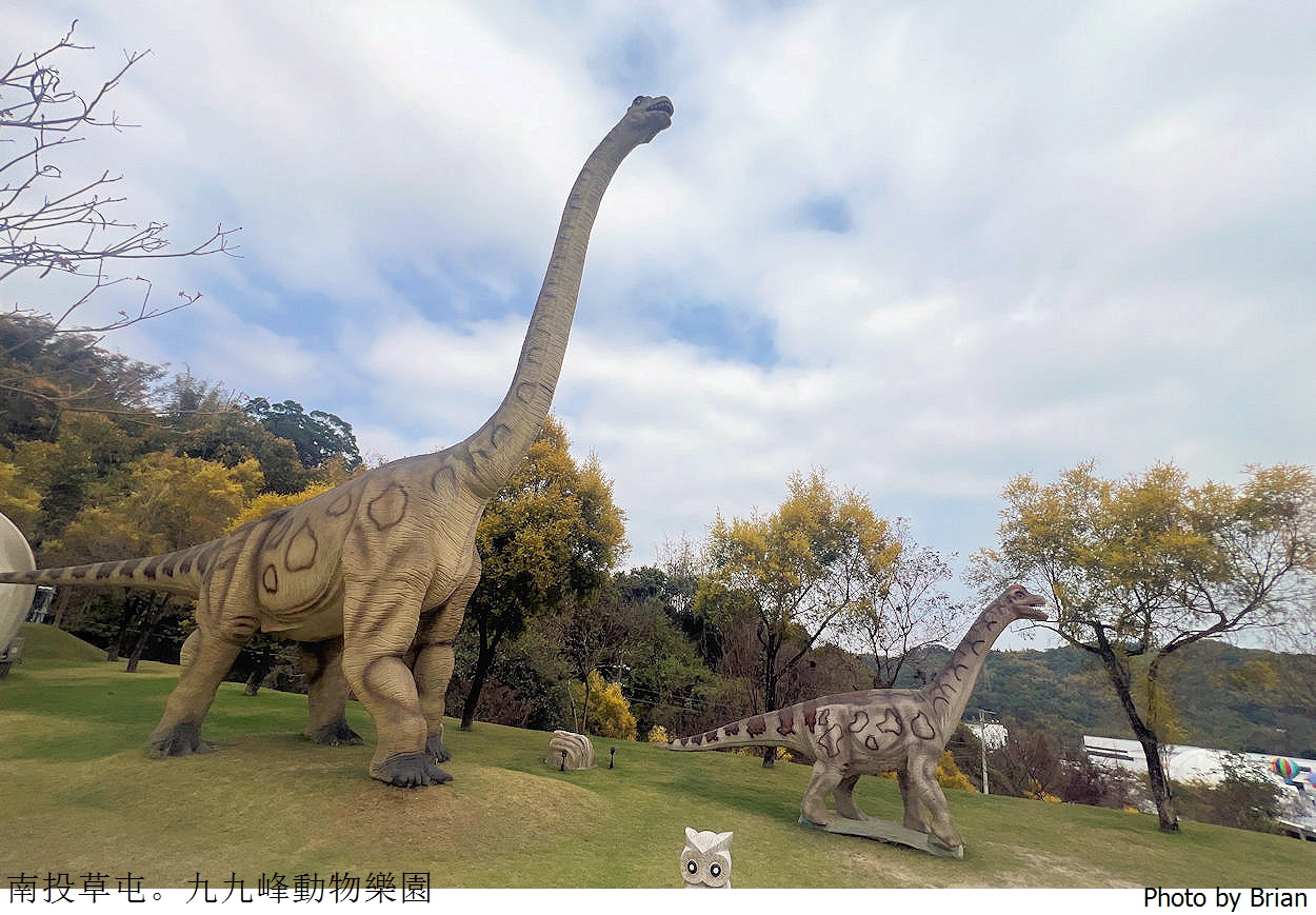 南投草屯親子景點九九峰動物樂園。全亞洲最大鳥類動物園近距離互動超好玩