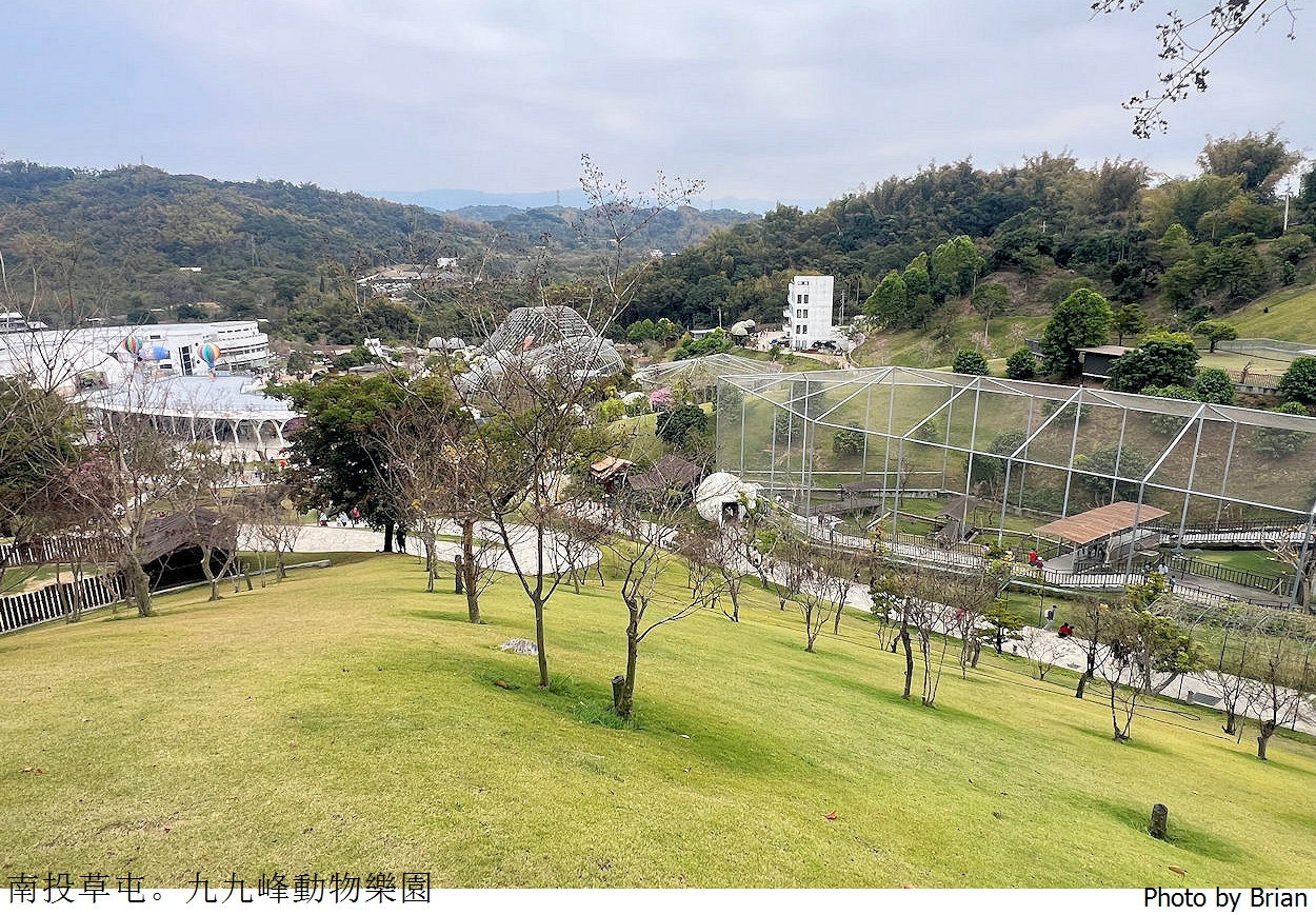 南投草屯親子景點九九峰動物樂園。全亞洲最大鳥類動物園近距離互動超好玩