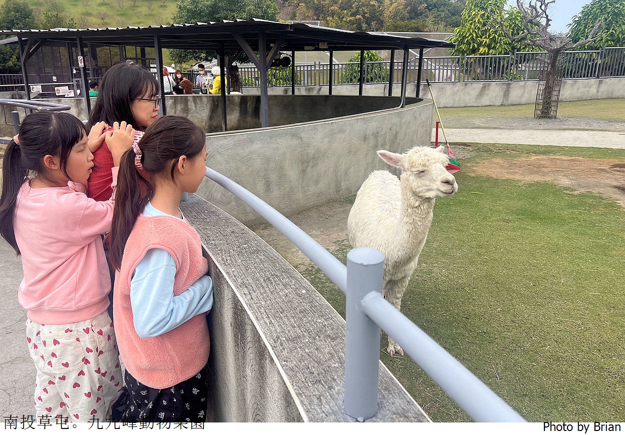 南投草屯親子景點九九峰動物樂園。全亞洲最大鳥類動物園近距離互動超好玩