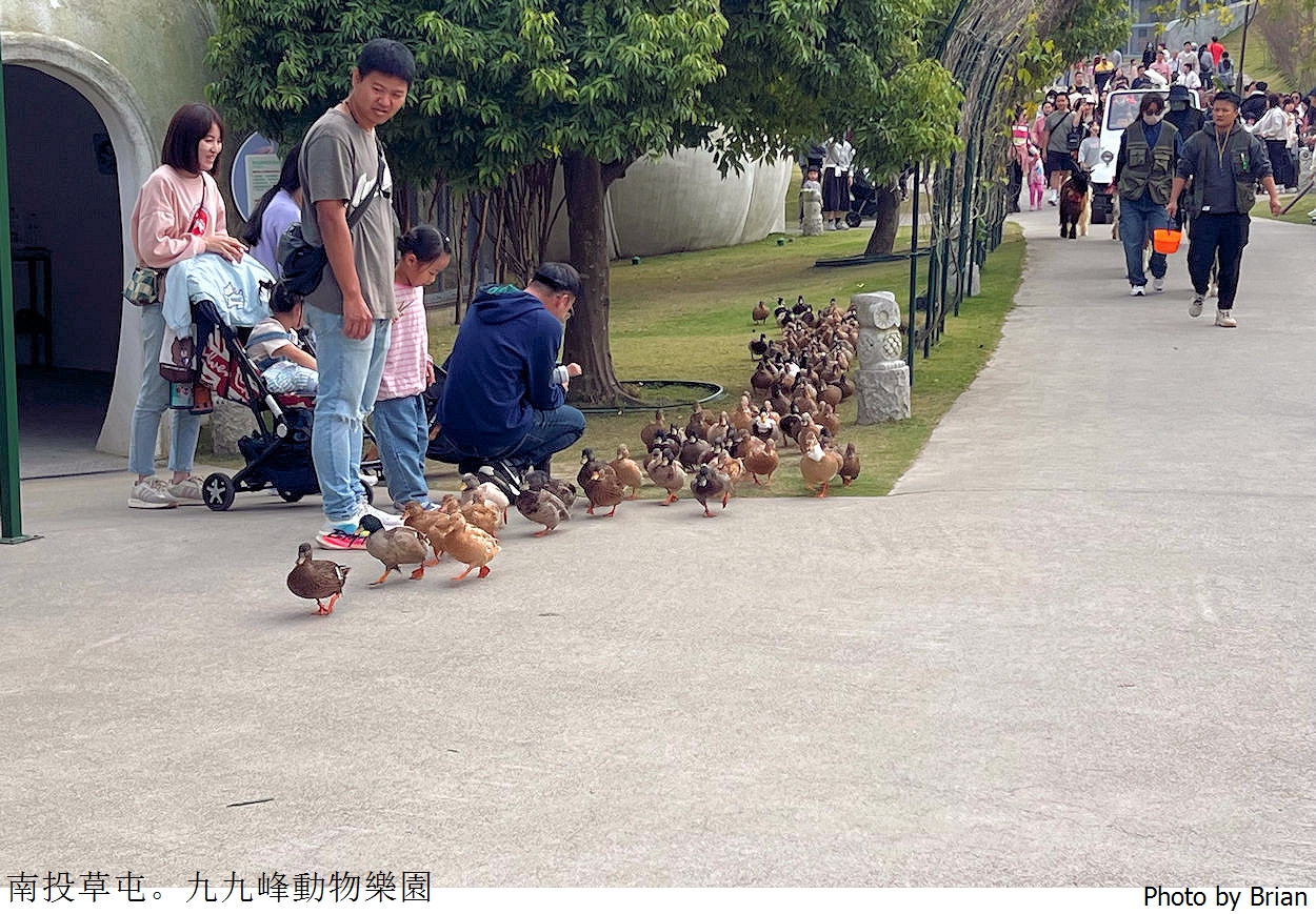 南投草屯親子景點九九峰動物樂園。全亞洲最大鳥類動物園近距離互動超好玩