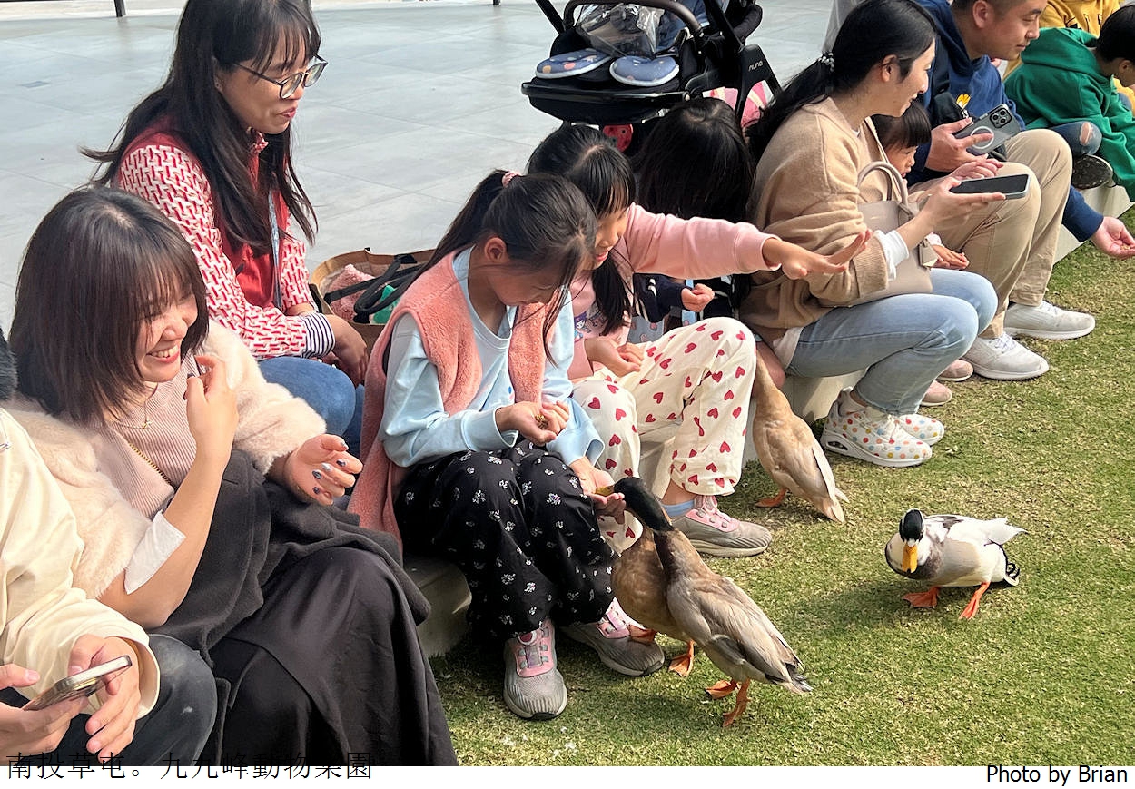 南投草屯親子景點九九峰動物樂園。全亞洲最大鳥類動物園近距離互動超好玩