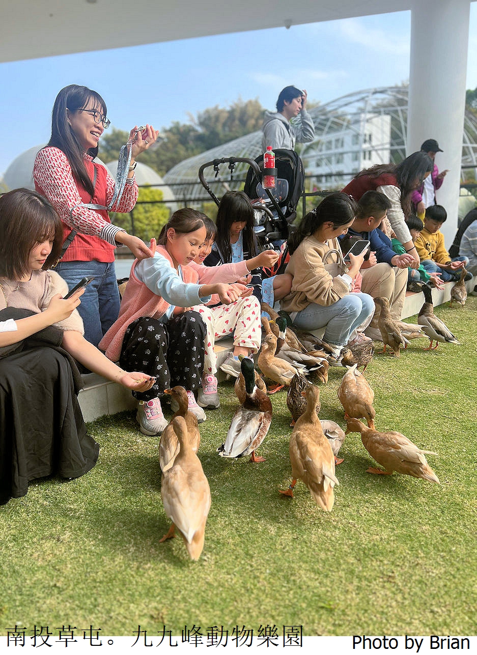 南投草屯親子景點九九峰動物樂園。全亞洲最大鳥類動物園近距離互動超好玩