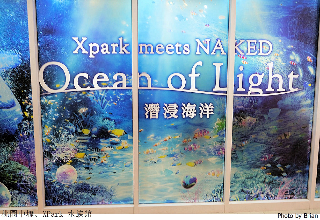 桃園親子景點青埔 XPark 水族館。桃園高鐵站旁都會型水族館 桃園親子景點青埔 XPark 水族館。桃園高鐵站旁都會型水族館