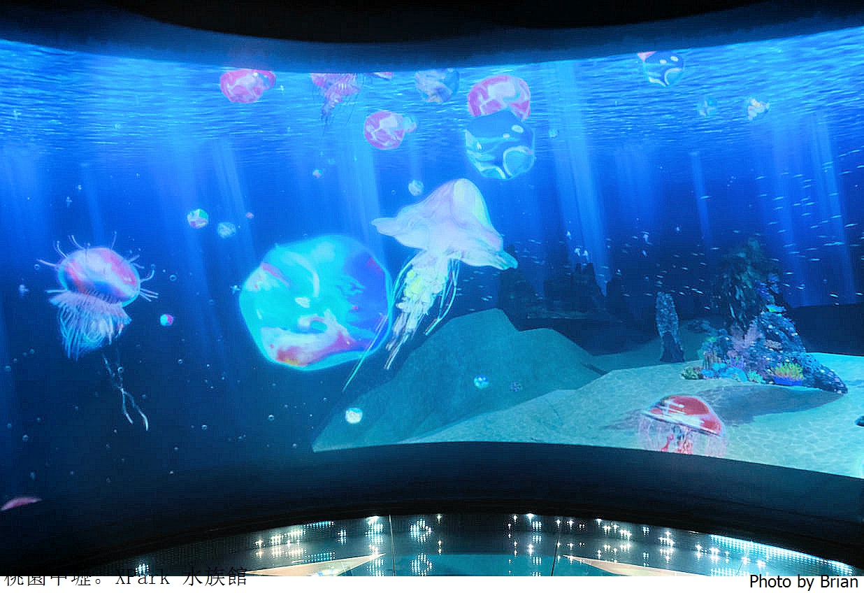 桃園親子景點青埔 XPark 水族館。桃園高鐵站旁都會型水族館