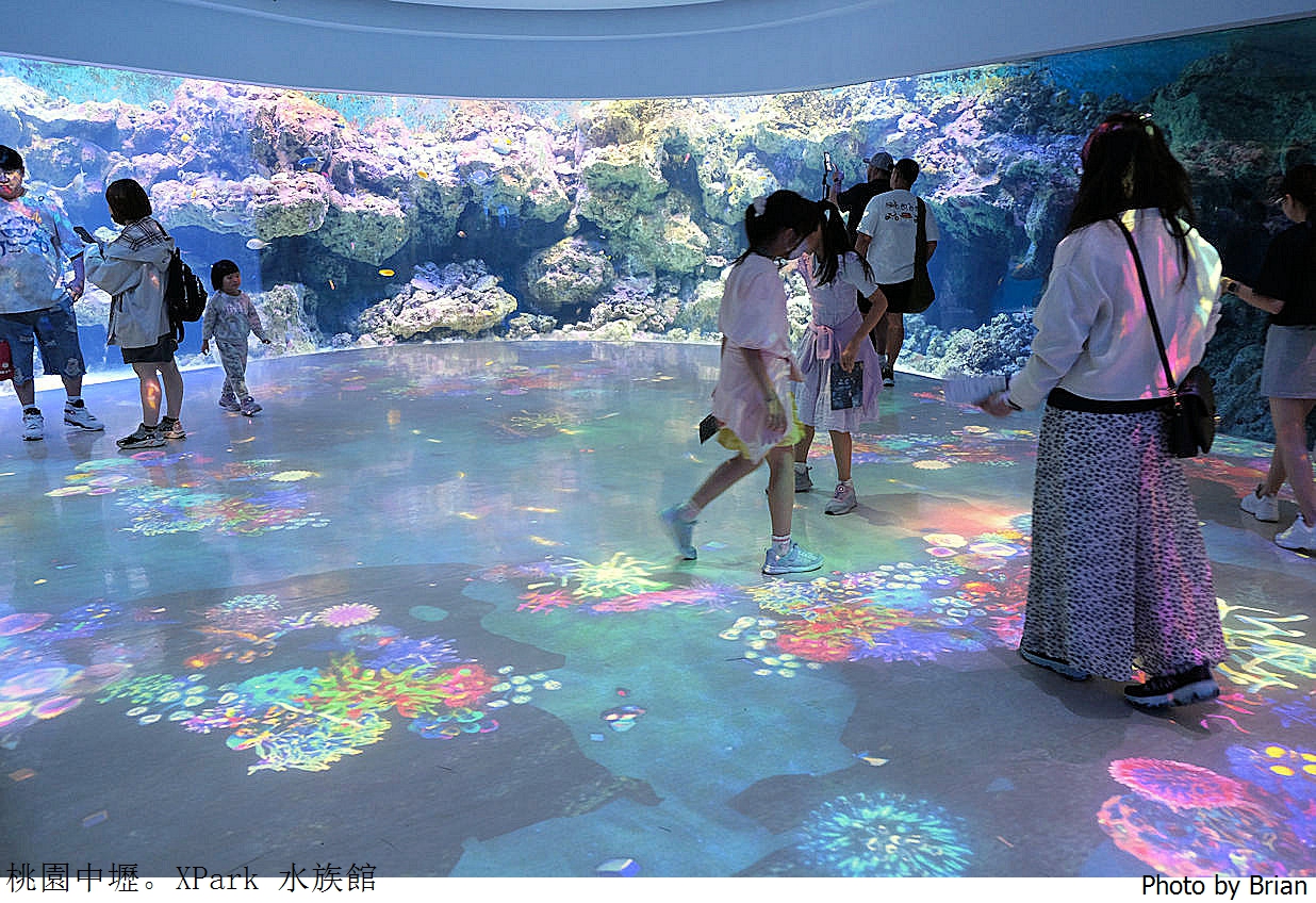 桃園親子景點青埔 XPark 水族館。桃園高鐵站旁都會型水族館 桃園親子景點青埔 XPark 水族館。桃園高鐵站旁都會型水族館