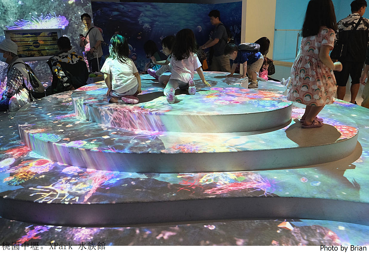 桃園親子景點青埔 XPark 水族館。桃園高鐵站旁都會型水族館 桃園親子景點青埔 XPark 水族館。桃園高鐵站旁都會型水族館