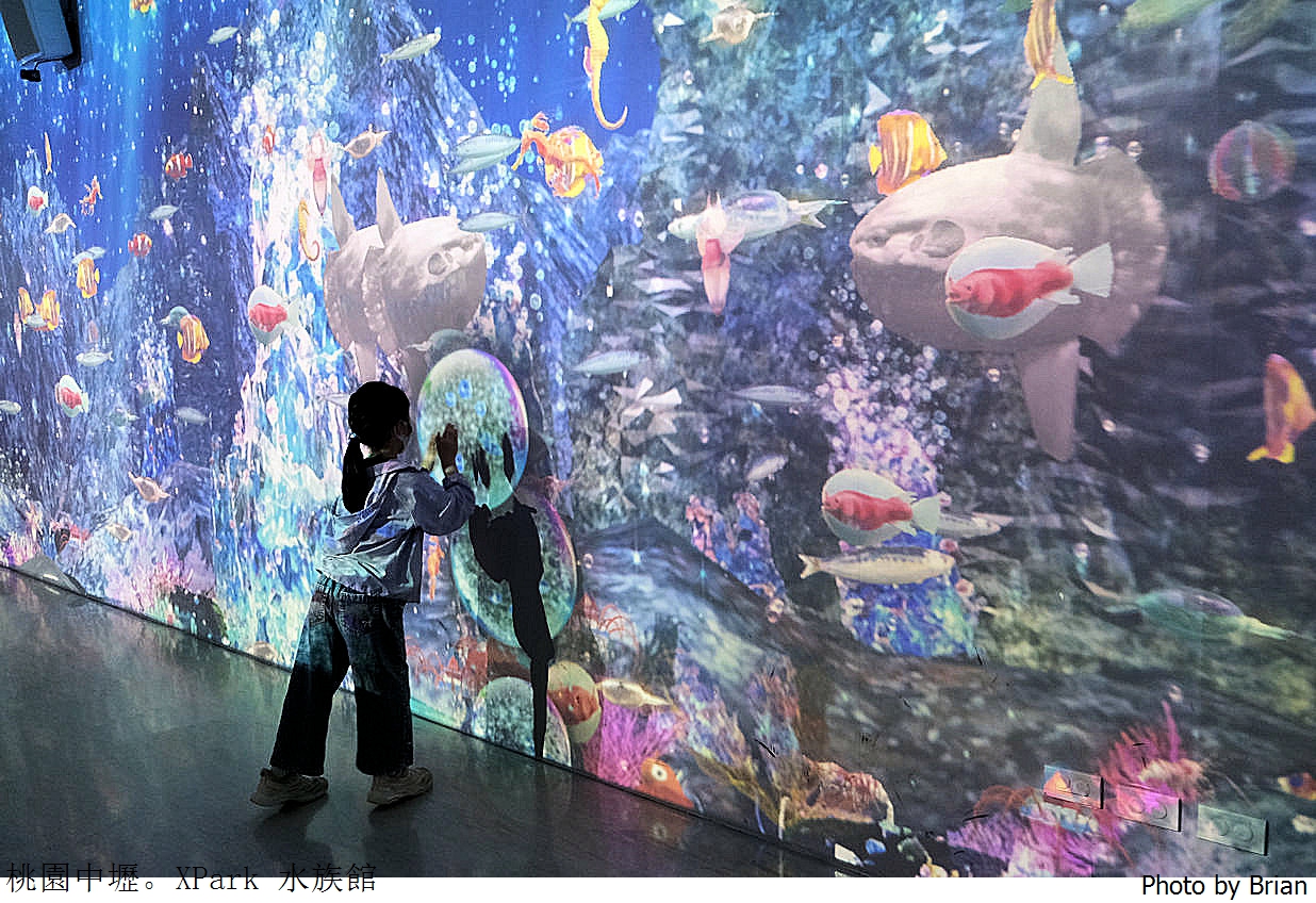 桃園親子景點青埔 XPark 水族館。桃園高鐵站旁都會型水族館 桃園親子景點青埔 XPark 水族館。桃園高鐵站旁都會型水族館
